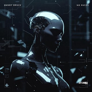 No Rules by Danny Druce Download