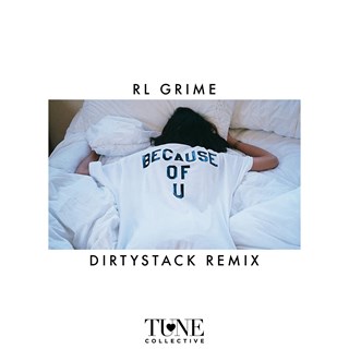 Because Of You by Rl Grime Download