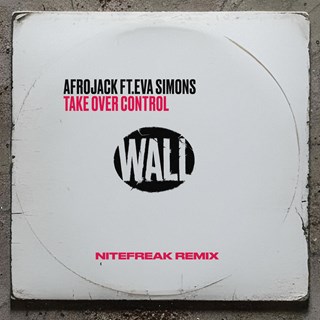Take Over Control by Afrojack ft Eva Simons Download
