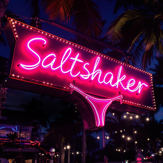 Salt Shaker by Ying Yang Twins ft Lil Jon And The East Side Boyz Download