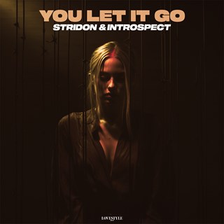 You Let It Go by Stridon & Introspect Download