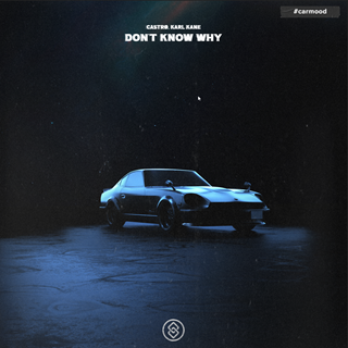 Dont Know Why by Castrø X Karl Kane Download