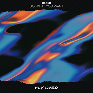 Do What You Want by Baked Download