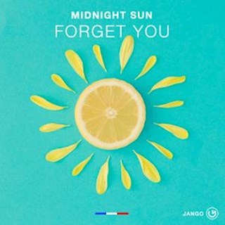 Forget You by Midnight Sun Download