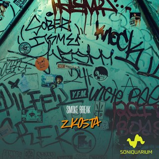 When The Sun Goes Down by Zkosta Download