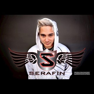Moves Like Jagger by Serafin Download