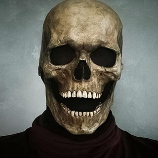 Spooky Scary Skeleton by Justin Storm Download