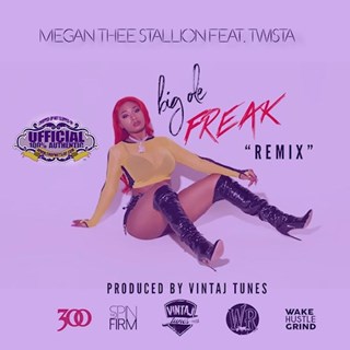 Big Ole Freak by Megan Thee Stallion ft Twista Download