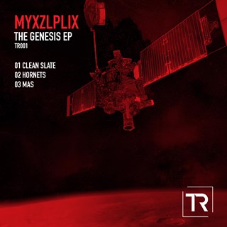 Hornets by Myxzlplix Download