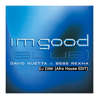 Im Good Blue by DJ Zink Download