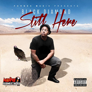Still Here by Black Diamond Download