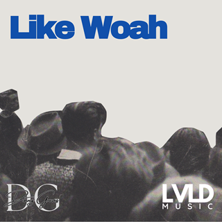Like Woah by Donny Graves Download