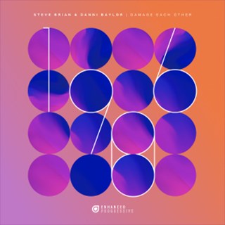 Damage Each Other by Steve Brian & Danni Baylor Download