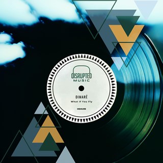 What If You Fly by Dimarë Download