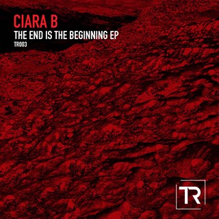 The End Is The Beginning by Ciara B Download