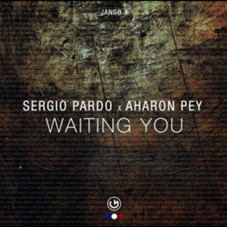 Waiting You by Sergio Pardo & Aharon Pey Download