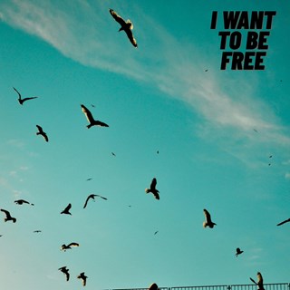 I Want To Be Free by Roberto Pedoto Download