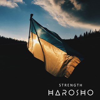 Light It Up by Harosho Download
