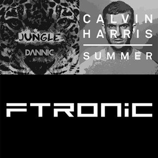 Jungle Summer by Ftronic Download