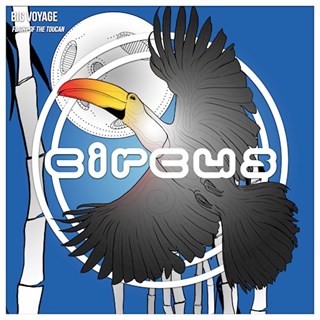 Flight Of The Toucan by Big Voyage Download