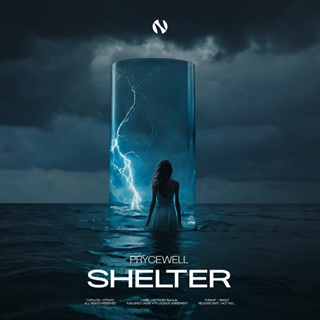 Shelter by Prycewell Download