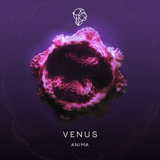Saturn by Anima Download