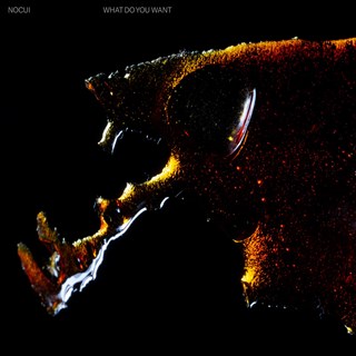 What Do You Want by Nocui Download