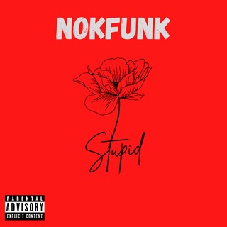 Stupidxkrazy by Nok Funk Download