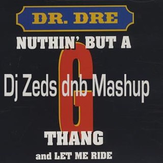 Nuthing But A Dnb Thang by Dr Dre Download