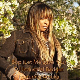 Bop by DJ Industrial Badger & Amuka Download