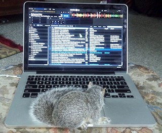 U Cant Touch This vs Girls & Boyz by MC Hammer vs Brad Hed Download