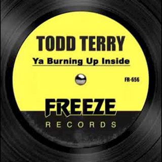 Ya Burning Up Inside by Todd Terry Download