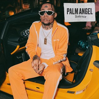 Palm Angel by Intence Download