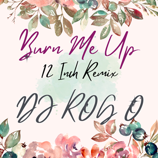 Burn Me Up by DJ Rog O Download