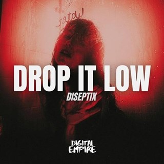 Drop It Low by Diseptix Download