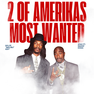 2 Of Amerikas Most Wanted by Tupac ft Snoop Dogg Download