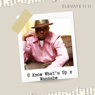 U Know Whats Up X Wannabe Acapella Out 8 by Donell Jones X Spice Girls Download