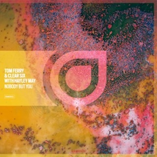 Nobody But You by Tom Ferry & Clear Six ft Hayley May Download