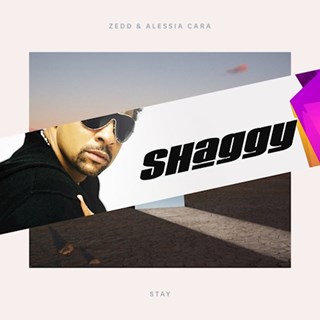 Stay X Wasnt Me by Zedd X Shaggy Download