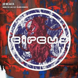 Wanna Feel Love by Dr Meaker ft Yolanda Remixes Download
