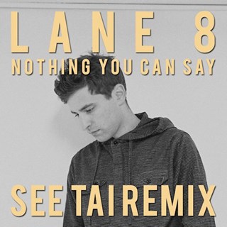 Nothing You Can Say by Lane 8 ft Lucy Stone Download