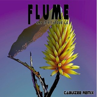 Say It by Flume ft Tove Lo Download