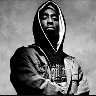 Fuck All Yall by Tupac vs Rage Against The Machine Download