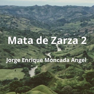 Mata De Zarza 2 by Jorge Enrique Moncada Angel Download
