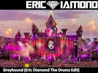 Greyhound by Swedish House Mafia vs Sonic One & Twoloud Download