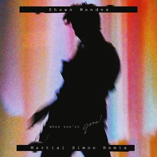 When Youre Gone by Shawn Mendes Download