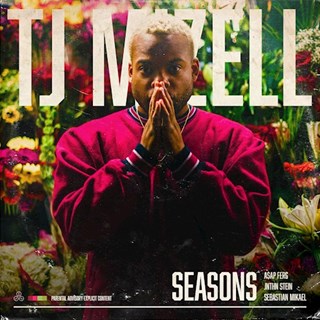 Seasons by TJ Mizell ft Asap Ferg, Jnthn Stein & Sebastian Mikael Download