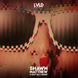 U Got All I Want by Shawn Matthew Download